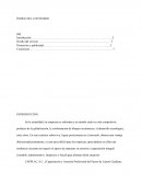 ESTRATEGIAS RELACIONADAS CON EL PROYECTO EMPRESARIAL