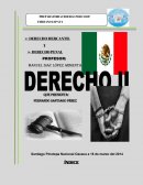 EN QUE CONSISTE EL DERECHO PENAL Y EL DERECHO MERCANTIL