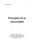 Seguridad eléctrica.