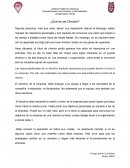 Descripción del rol de un director