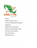 Documentación de software