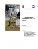 Ley de dilatacion de gases