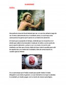 Analisis de la Pelicula El Naufrago