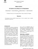 DEBATE FISICA