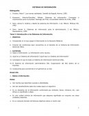 Sistemas de informacion