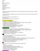 EXAMEN DE MEDICINA PREVENTIVO DEL ADULTO