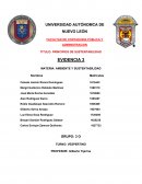 PRINCIPIOS DE SUSTENTABILIDAD EVIDENCIA 3 MATERIA: AMBIENTE Y SUSTENTABILIDAD