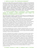 La contaminacion del suelo