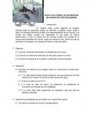 Incubación de huevos de tortuga