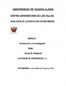 Plan de trabajo para elaborar una tesis