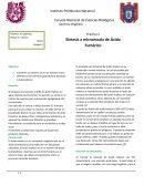 Síntesis de ácido fumárico
