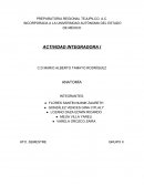 PREPARATORIA REGIONAL TEJUPILCO, A.C.