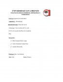 Efecto del uso de videojuegos. Caso escolares del 1er ciclo E.E.B. en la escuela San Blas de la ciudad de Pilar.