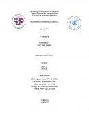 Movimiiento armonico simple Informe N°1