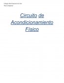 Circuito de Acondicionamiento Físico