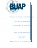 Actividad de mecatronica