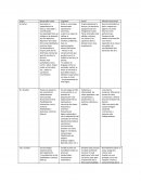 Desarrollo motor escolar