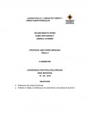 LABORATORIO N° 2: LÍNEAS DE FUERZA Y LÍNEAS EQUIPOTENCIALES