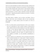 La interferencia de los reflejos patológicos en la intervención fisioterapéutica para la habilitación de niños con lesiones neurológicas
