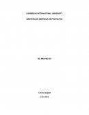 MAESTRÍA DE GERENCIA DE PROYECTOS "EL PROYECTO"