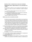 DESARROLLO FÍSICO Y COGNOSCITIVO EN LA EDAD ADULTA INTERMEDIA