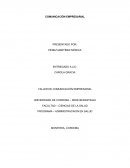 COMUNICACIÓN EMPRESARIAL TALLER