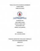 TRABAJO APLICATIVO DE DISEÑO DE EXPERIMENTO “STEKER ACEROS”