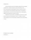 DESARROLLO DE LA ACTIVIDAD ENTREVISTA 1