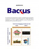 Backus- Matriz BCG