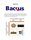 Backus- Matriz BCG