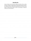 Anatomía y fisiología de los músculos y Pelvis Ósea