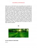 Salvemos la naturaleza