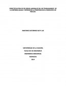 IDENTIFICACIÓN DE PELIGROS LABORALES EN LOS TRABAJADORES DE LA EMPRESA AGUAS Y REFRESCOS LA FRONTERA EN EL MUNICIPIO DE MAICAO