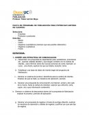 Plan de ficelizacion
