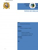 SEGÚN EL SECTOR ECONOMICO AL QUE PERTENECE