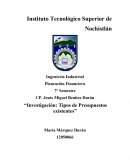 Investigación: Tipos de presupuestos existentes