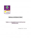 “MODULO INTRODUCTORIO” TAREA 2.1 DIAGNÓSTICOS DE ESTILOS DE APRENDIZAJE