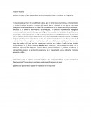 Analisis de responsabilidad penal