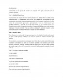 Paradigmas de la investigacion. Lluvia de ideas