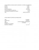 Caracteristicas basicas