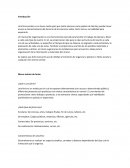 Manual de organización de ferias