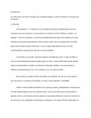 Qué es filosofía (opinión propia)