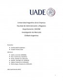 Investigación de Mercado CitiBank Argentina