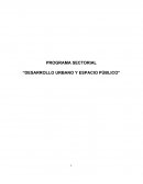 Programa sectorial