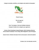 Plantel Cortazar Plan de negocios “RECOLEX”