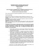 PRACTICA No 1. AGUAS: MUESTREO Y DETERMINACIÓN DE PARÁMETROS ORGANOLÉPTICOS (Olor, color) Y FISICOS (Conductividad, turbidez, temperatura, pH)