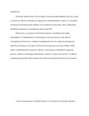 Informe d como se realiza un proyecto de educacion