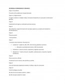 Desarrollo embrionario