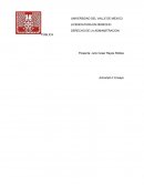 LA ACTIVIDAD ADMINISTRATIVA Y EL EFECTO QUE PRODUCE EN EL PARTICULAR.