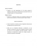 Investigador de campo